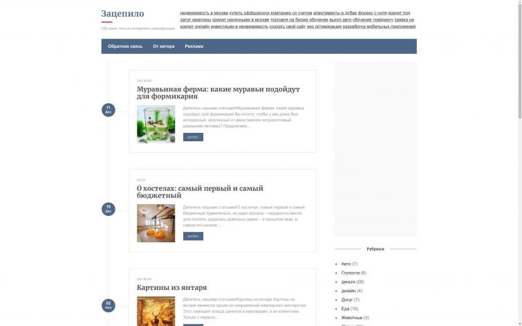 Общетематический блог с доходом адсенс, 10 лет домену, принят в ГГЛ