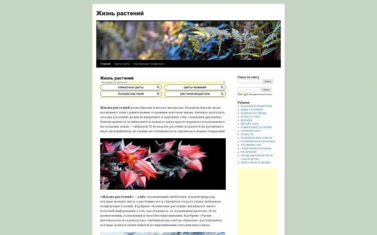 Цветы - доход с Адсенса