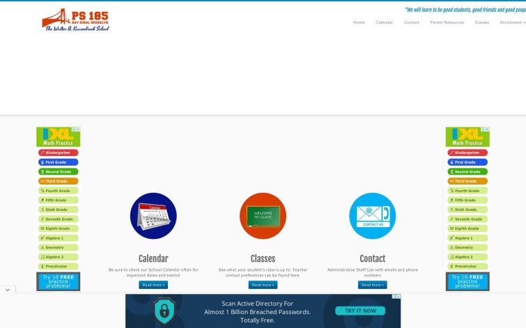Бурж сайт американской школы, Adsense