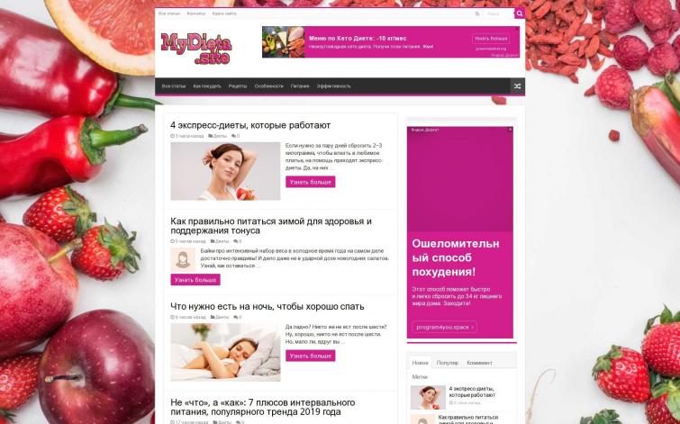 Тематика диеты, авто наполнение, РСЯ, WordPress.