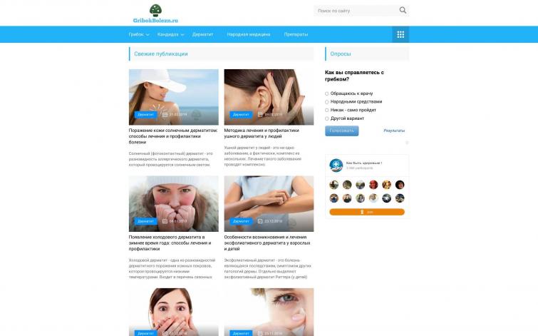 Медицинский информационный сайт | РСЯ, Adsense | ИКС 130