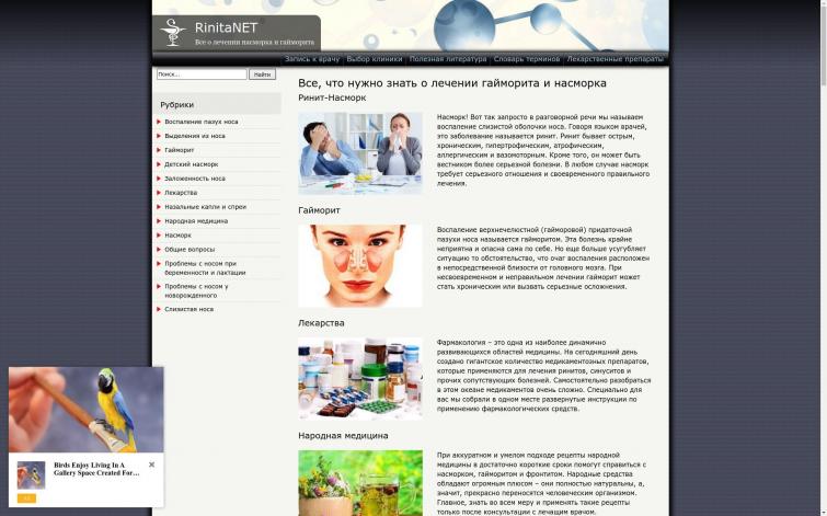 Пассивный доход 1000-2000 в месяц РСЯ + ссылочные биржи (ЛОР заболевания)