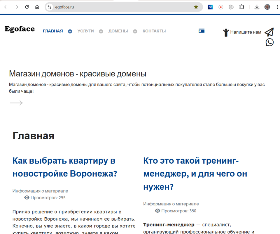 EGOFACE - бывшее коммерческое название  &quot;Создание профессиональных видеоклипов&quot;. Смысл - персональный формат.