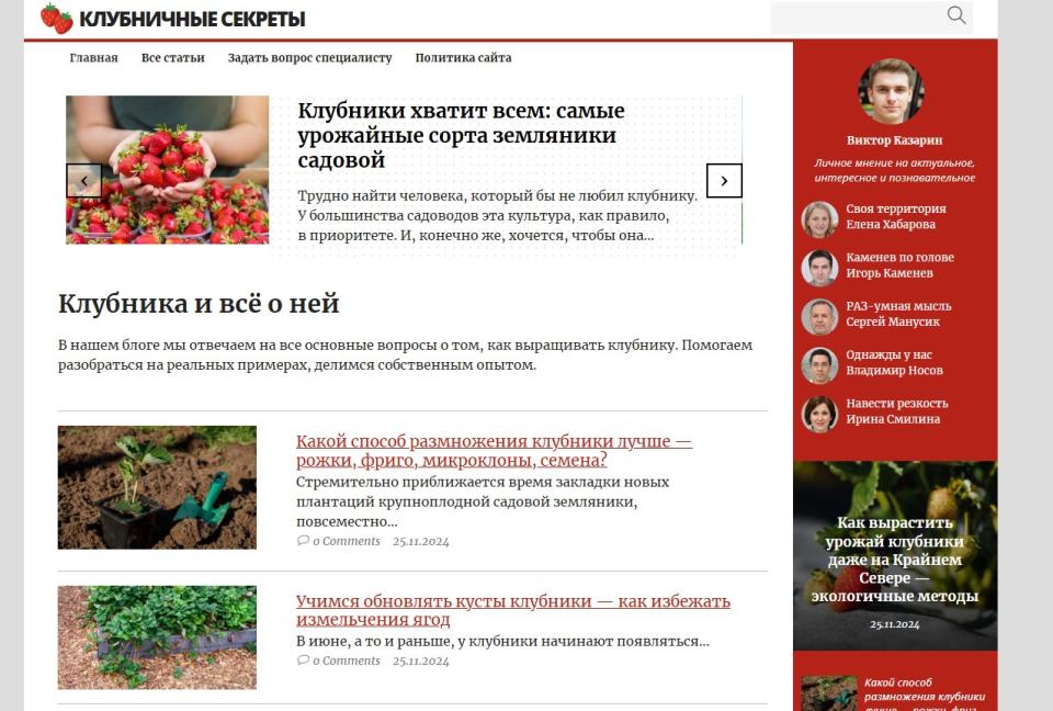 Блог про клубнику - СДЛ на Wordpress