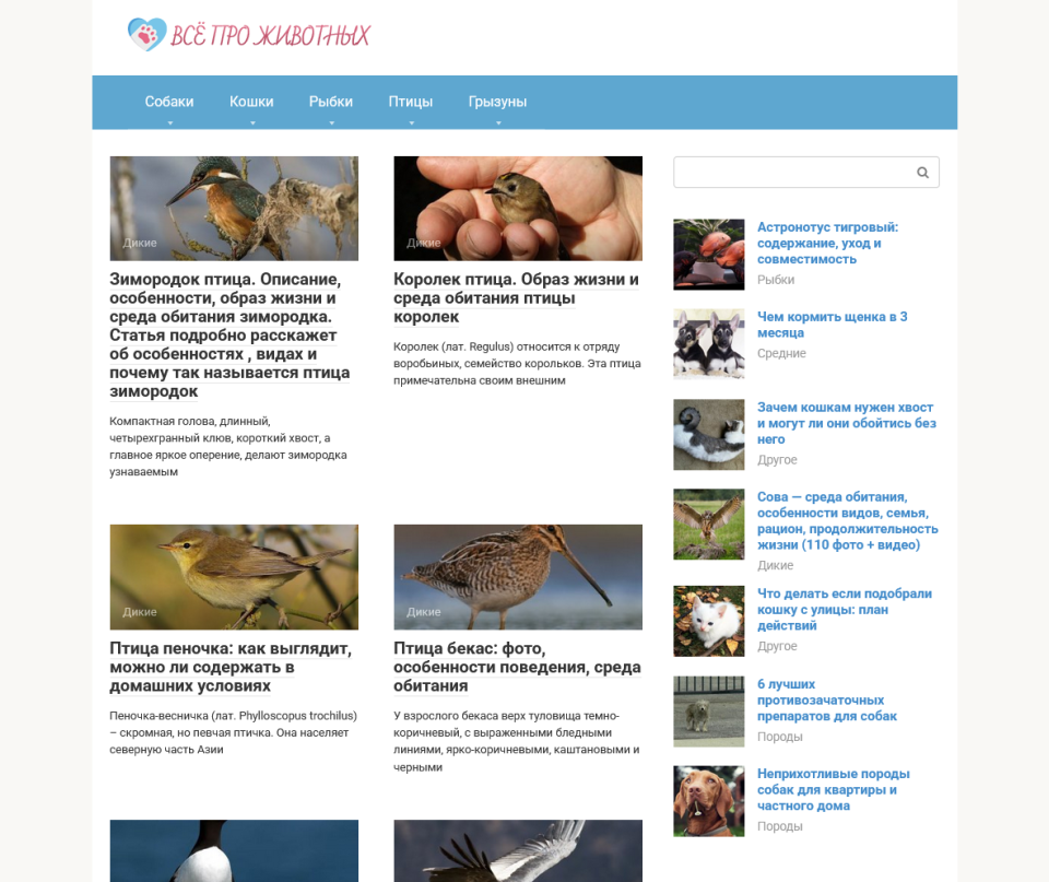 Блог о животных с посещаемостью