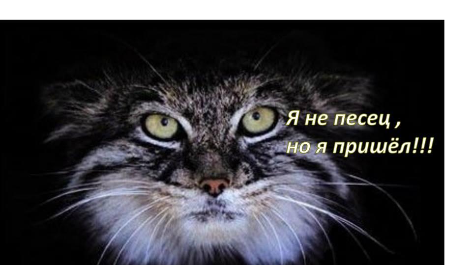 Группа в VK &quot;Видеоролики с youtube&quot;