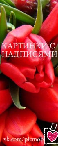 Живая группа 2010 г. Картинки с надписями
