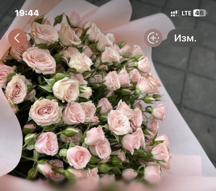 Пиар-чат Best Piar