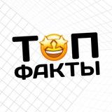 Познавательный канал с доходом 118к