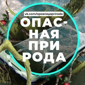 Продам любимую группу