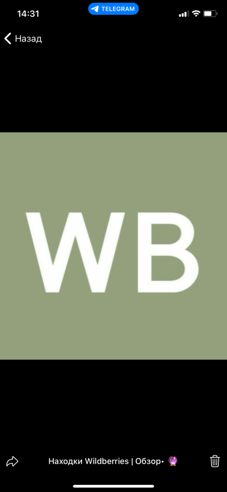 Находки вещей с WB