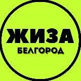 Готовый канал Белгород ЖИЗА прибыль каждый день