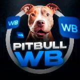Активный WB рся + Теле ИН