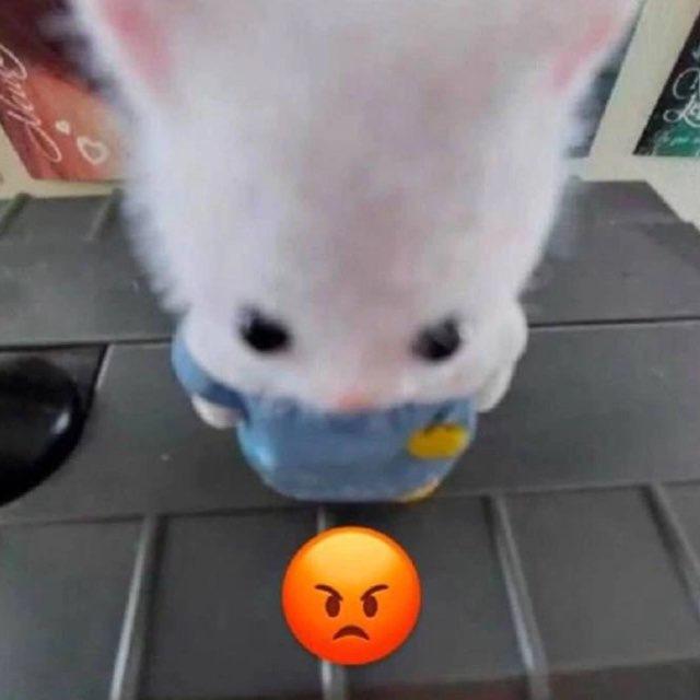 Модель 14к аудитория живая