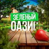 Готовый действующий канал на 6к подписчиков без накрутки