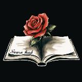 Книжный канал (идеально для старта)