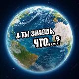 Распродажа! Познавательный канал с РСЯ