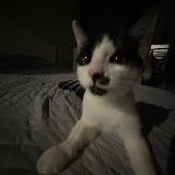 Готовый канал для признаний Назарово