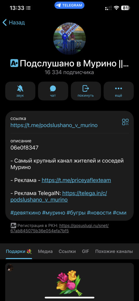 Топ-канал Мурино. Региональные новости