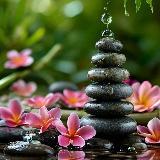 Жца, открытки с РСЯ