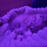 продажа телеграм канала