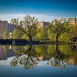 Региональный канал по Балашихе, аудитория родители