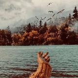 ЖЦА канал, с быстрой окупаемостью