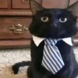 Продаю Telegram канал игровой тематики