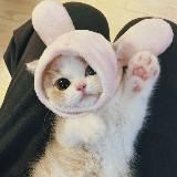 Канал Котейка