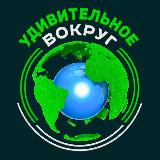 Готовый канал в тематике путешествия, природа, животные