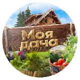 Сад и огород/ РСЯ 15.000₽