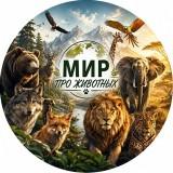 Подпищики накрученые 