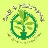 Готовый канал о комнатных растениях РСЯ