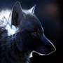 traderic_deleted122706
