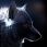 traderic_deleted122706