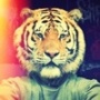 serjwq