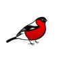 bullfinch