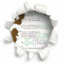 user2506