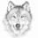 wolf999