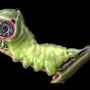 vcctv