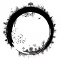 Apollinaris