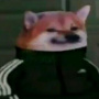 krutyaga